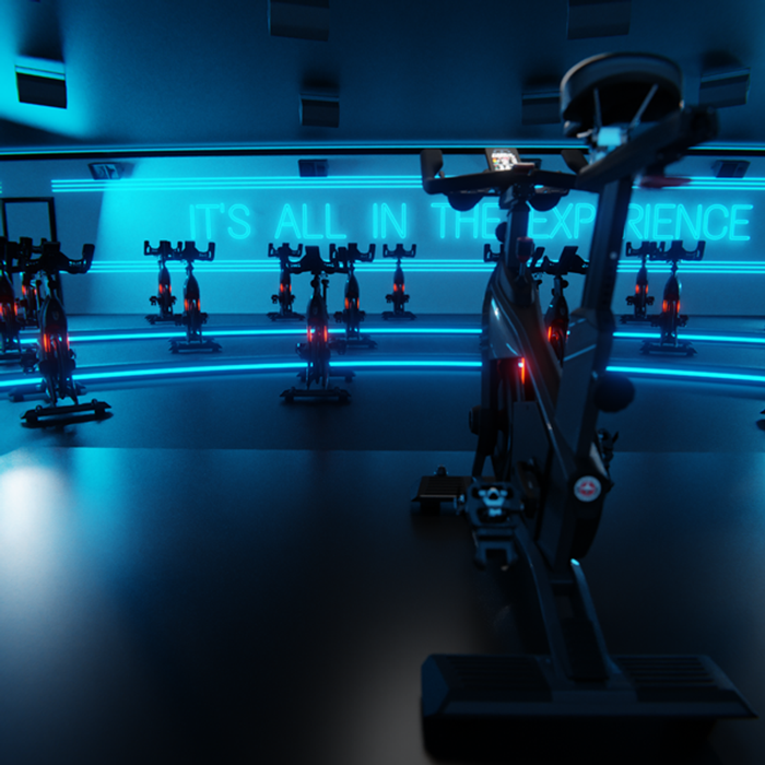 Schwinn Z Bike Indoor Cycle