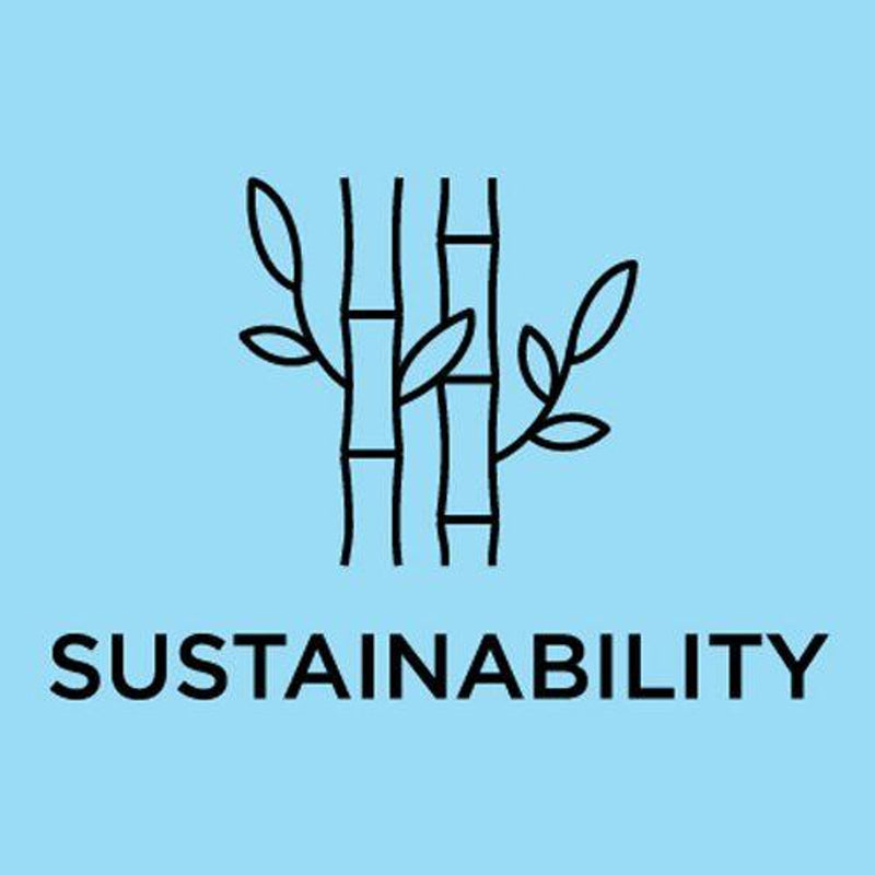 Schwinn Z Bike Indoor Cycle