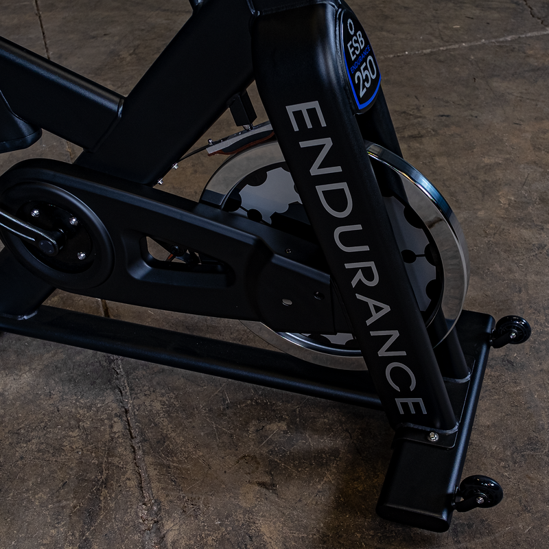 Endurance Indoor Exercise Bike ESB250