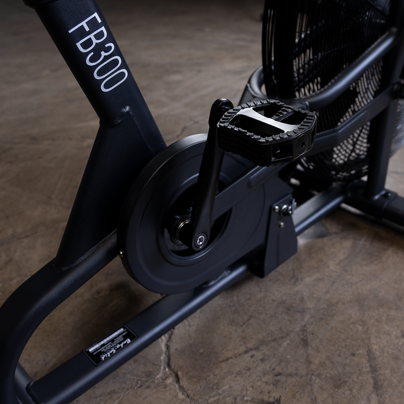 Endurance Fan Bike (Black) FB300B