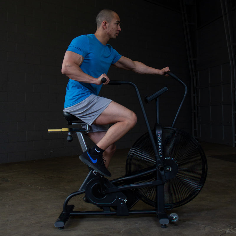 Endurance Fan Bike (Black) FB300B