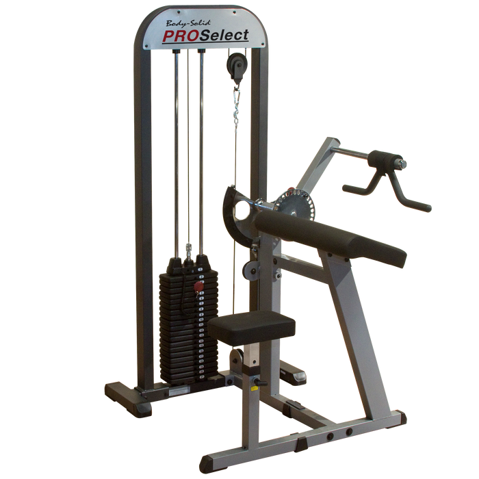 PROSelect by Body Solid Bicep & Tricep Machine GCBT-STK